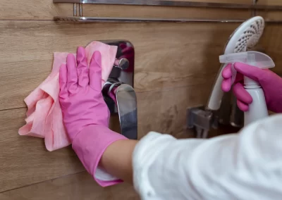 House Cleaner