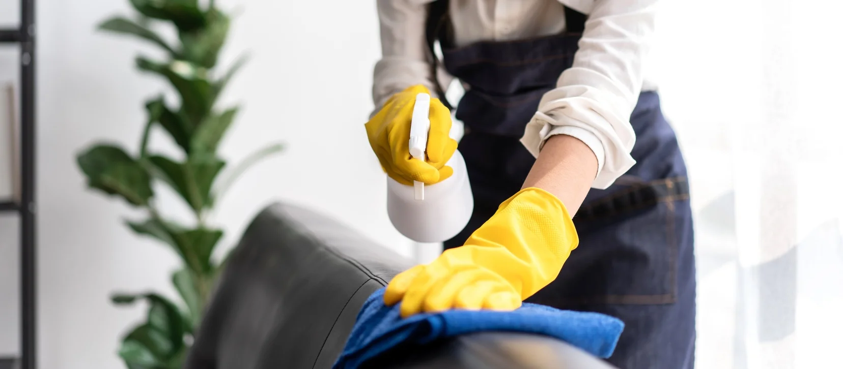 Cleaning
